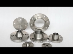 Flange de titânio 010